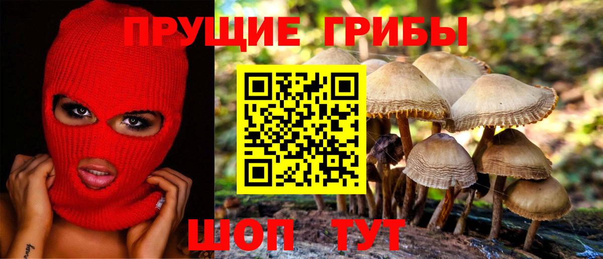 купить наркоту  Вход с VPN  Находка  Псилоцибиновые грибы GOLDEN TEACHER 