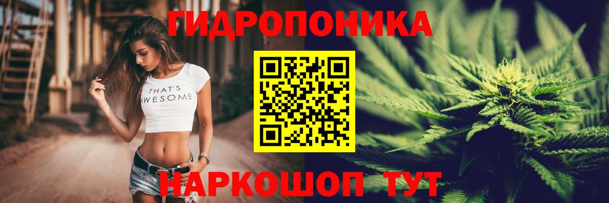 Конопля AK-47 Находка